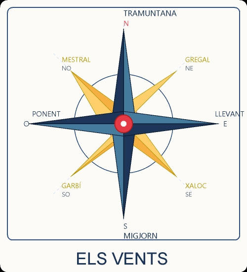 Rosa dels vents